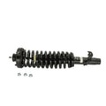 Strut Assembly S21105