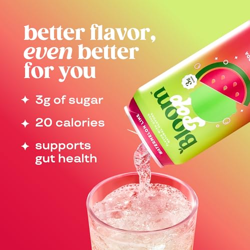 Prebiotic Soda 12 Pack, 12oz Cans N492