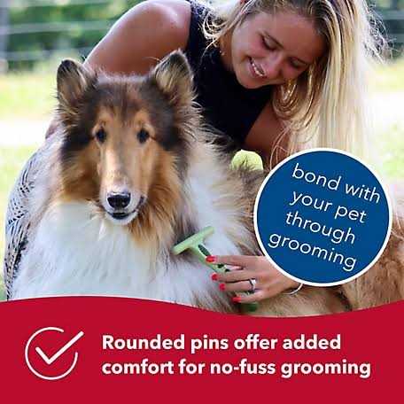 Dog Undercoat Rake I421
