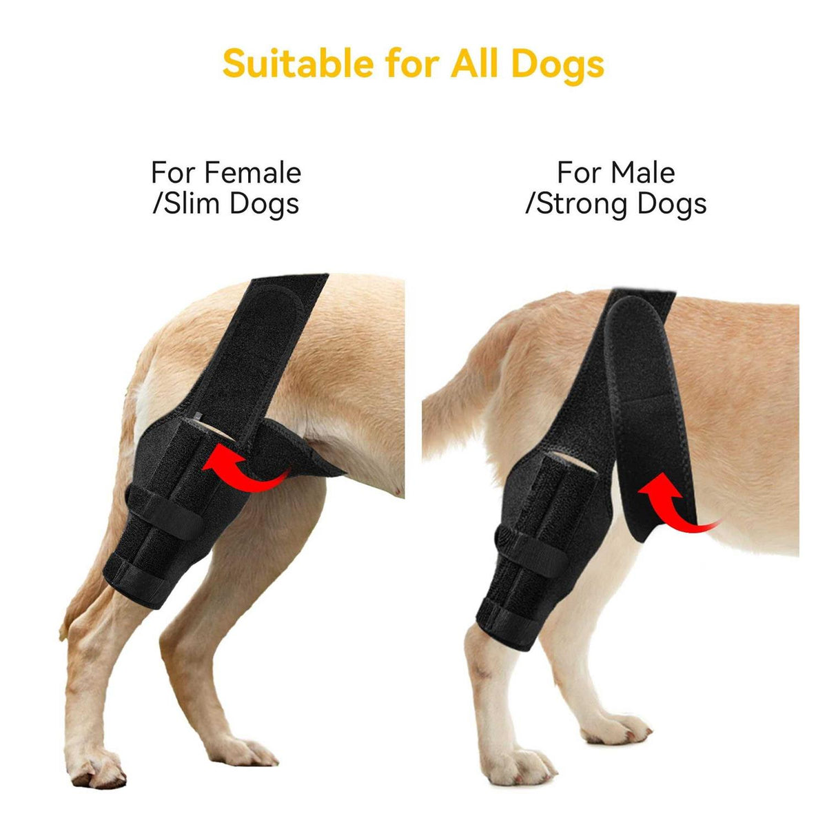 Dog Knee Brace for ACL Cruciate Ligament Injury M4196