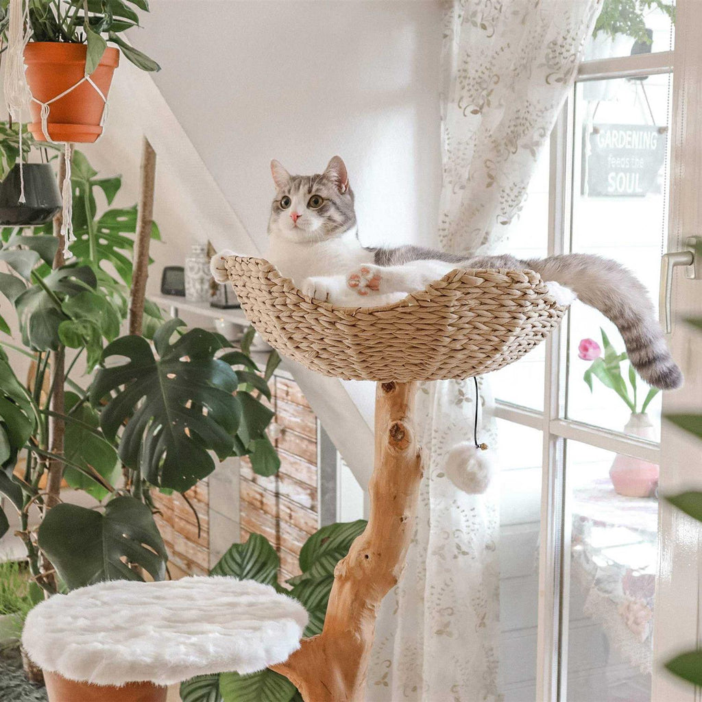 Cat Tree U1032