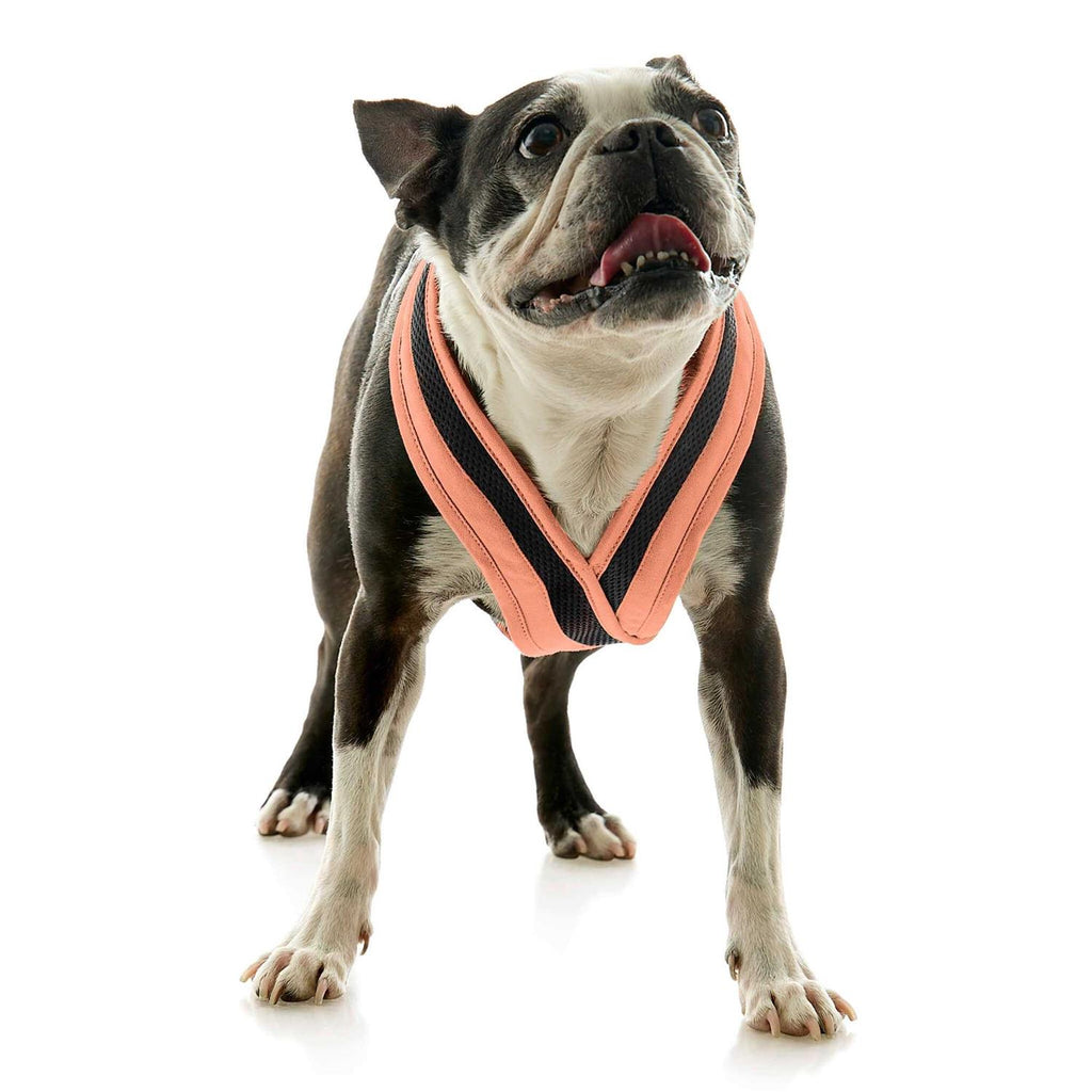 Dog Harness Y64191