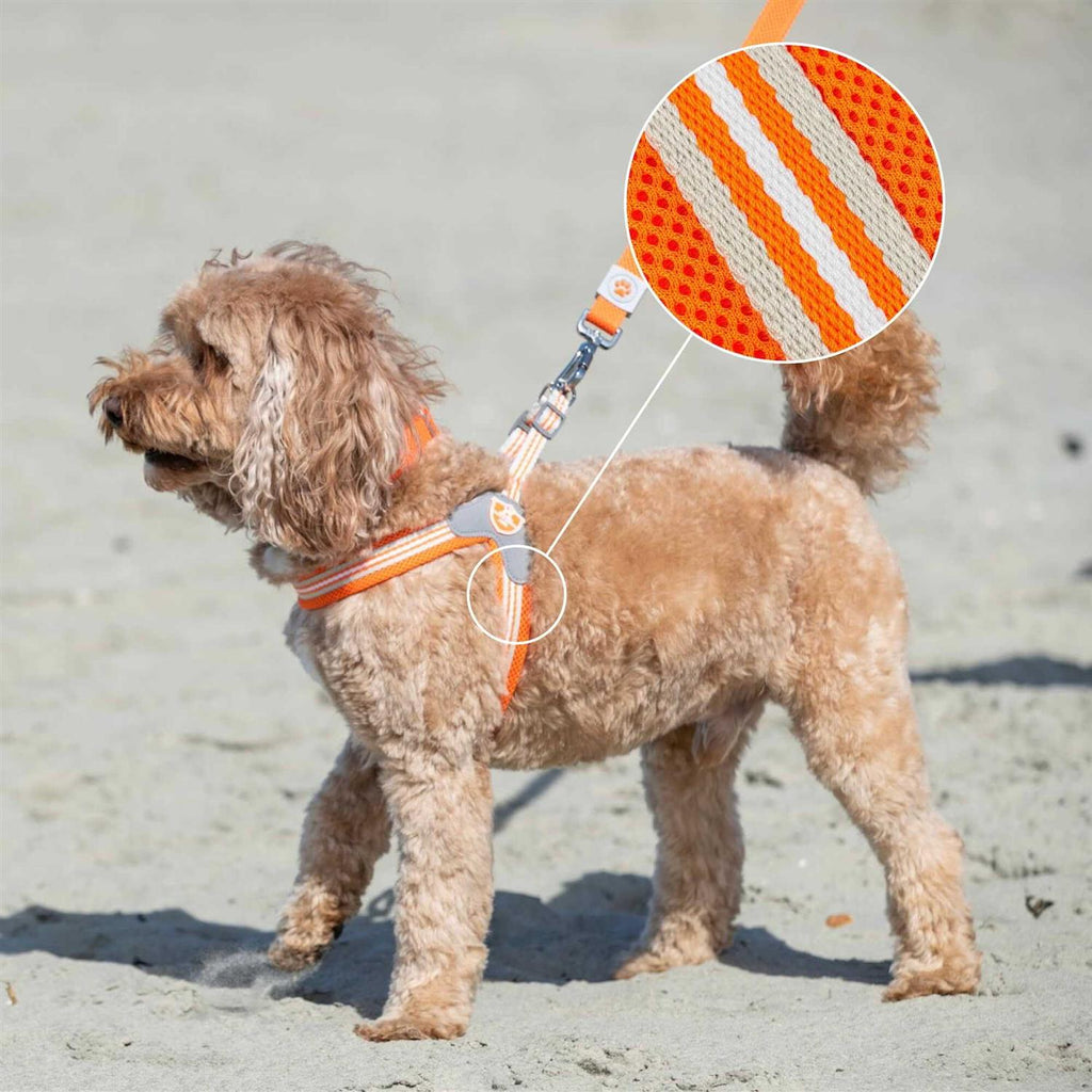 Dog Harness K520713