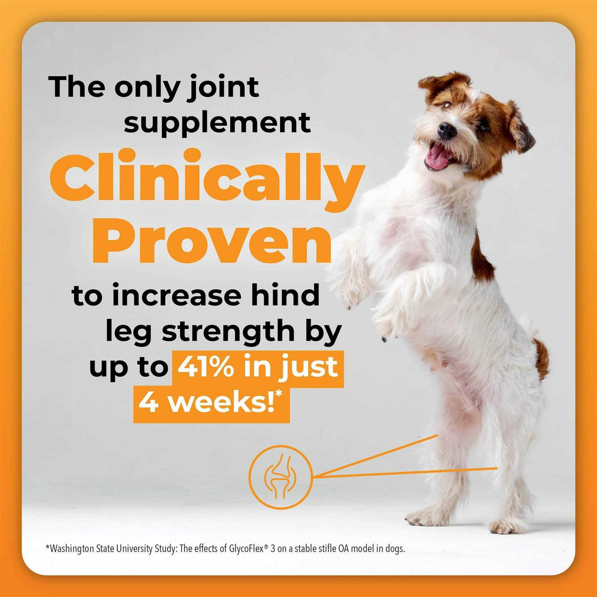 Joint Supplement for Small Dogs S1228