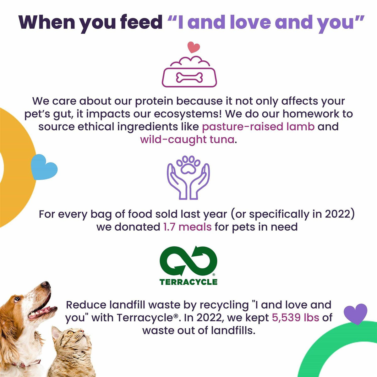 Wet Cat Food with Tuna and Pumpkin R429713