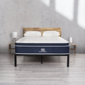 Queen 14 Plush Hybrid Mattress with Cooling Cover W665450