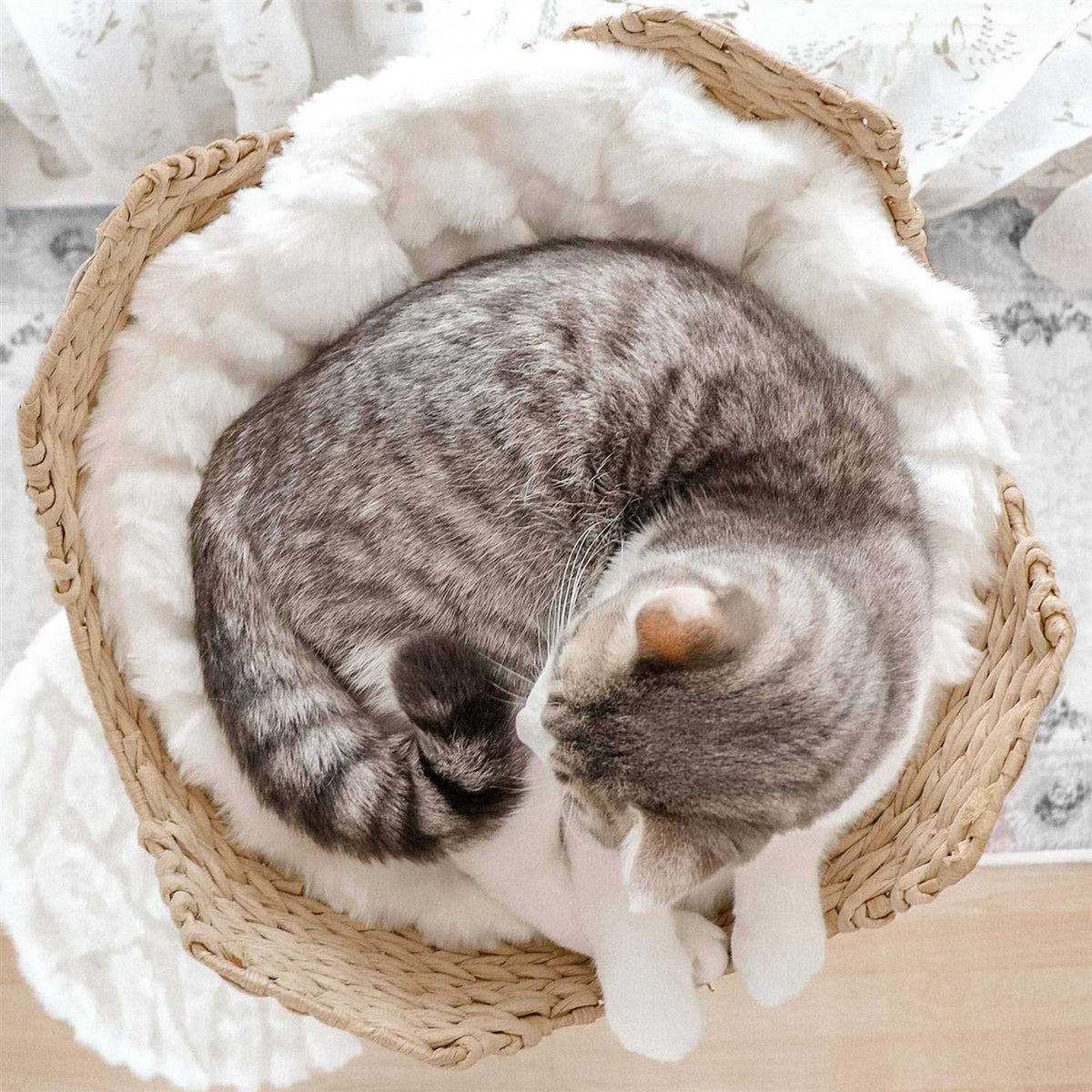 Cat Tree U1032