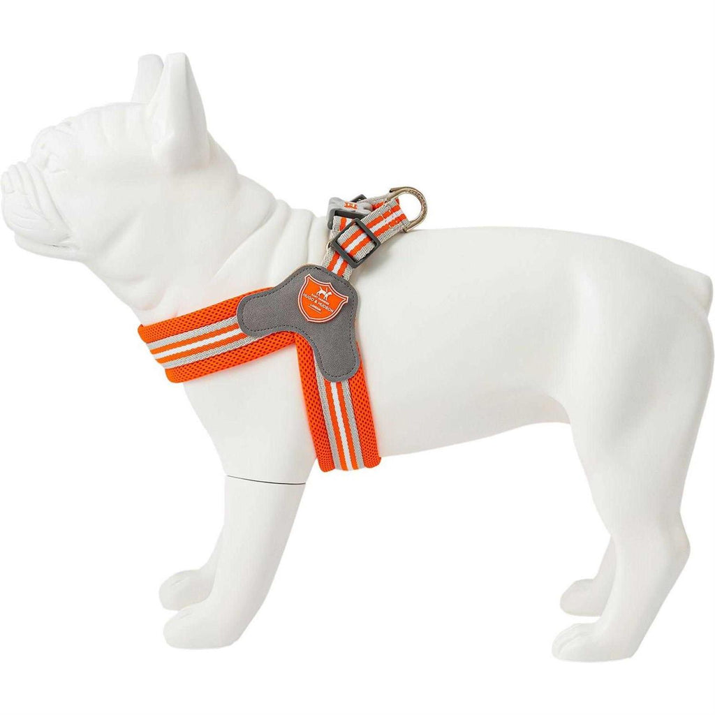 Dog Harness K520713