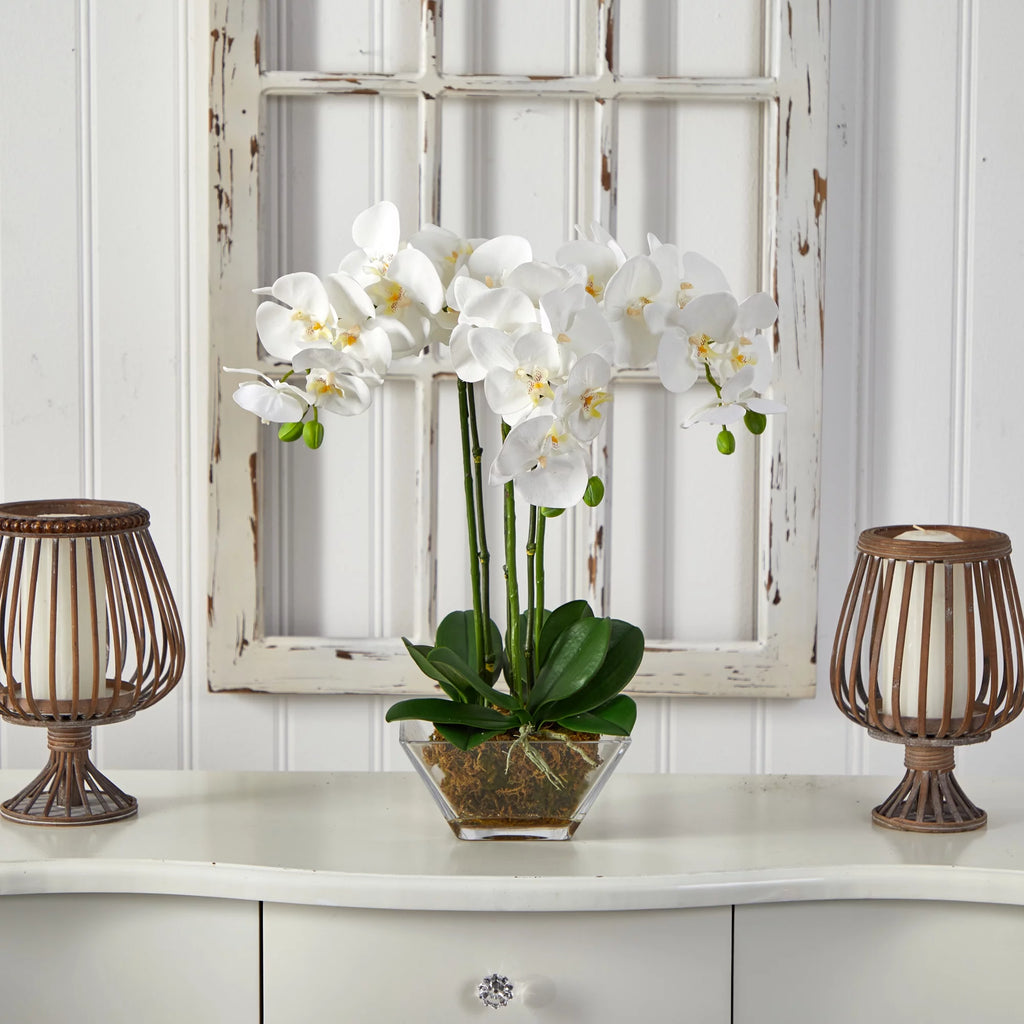 White Artificial Orchid Flowers in Glass Vase B329545