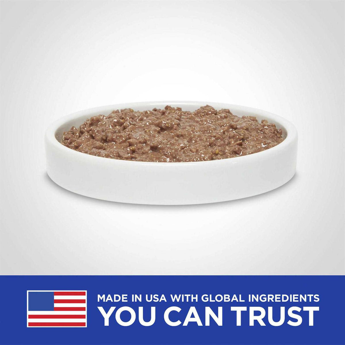 Chicken Cat Food Y955