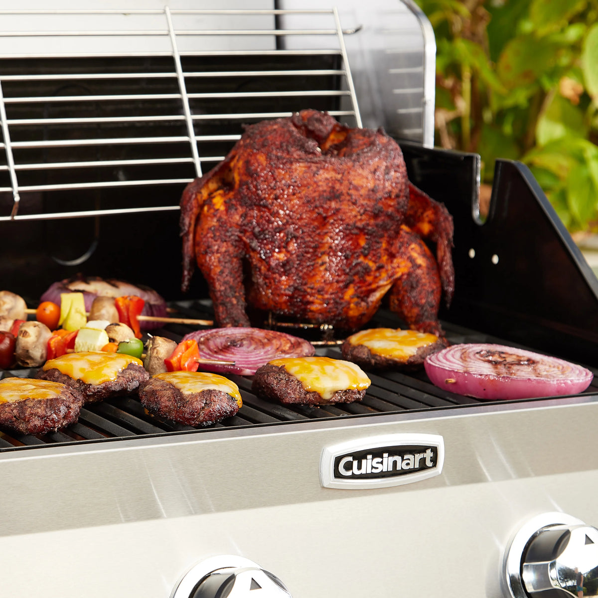 2-Burner Dual Fuel Gas Grill D26842