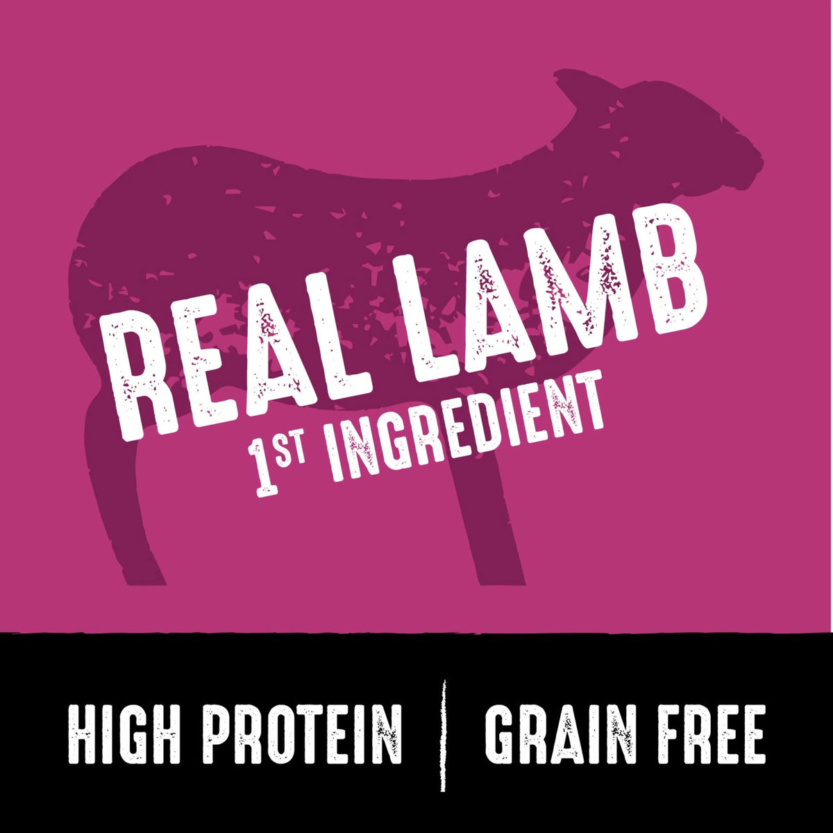Grain Free Adult Dry Dog Food with Lamb, 4 lb. Bag F1609