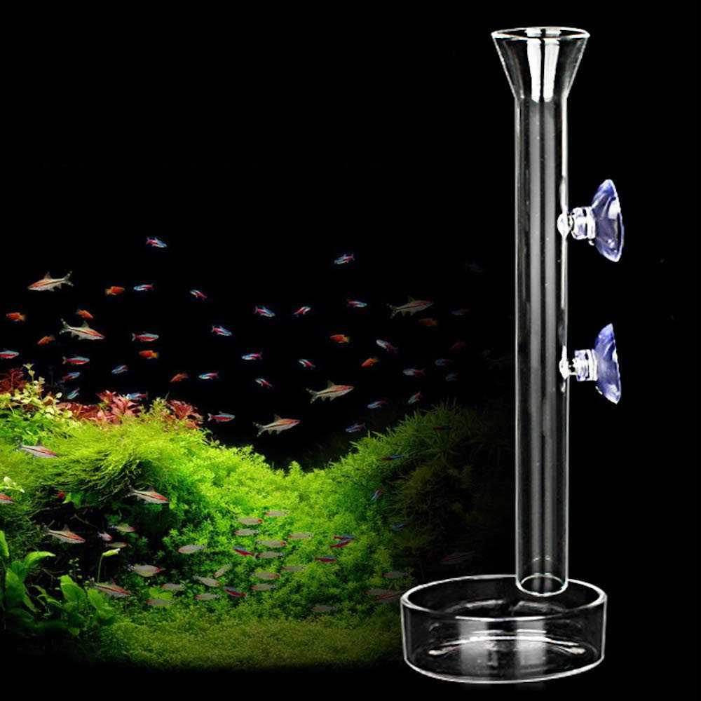 Aquarium Shrimp Feeding Tube and Dish Clear Crystal Glass Feeder Tray G4744