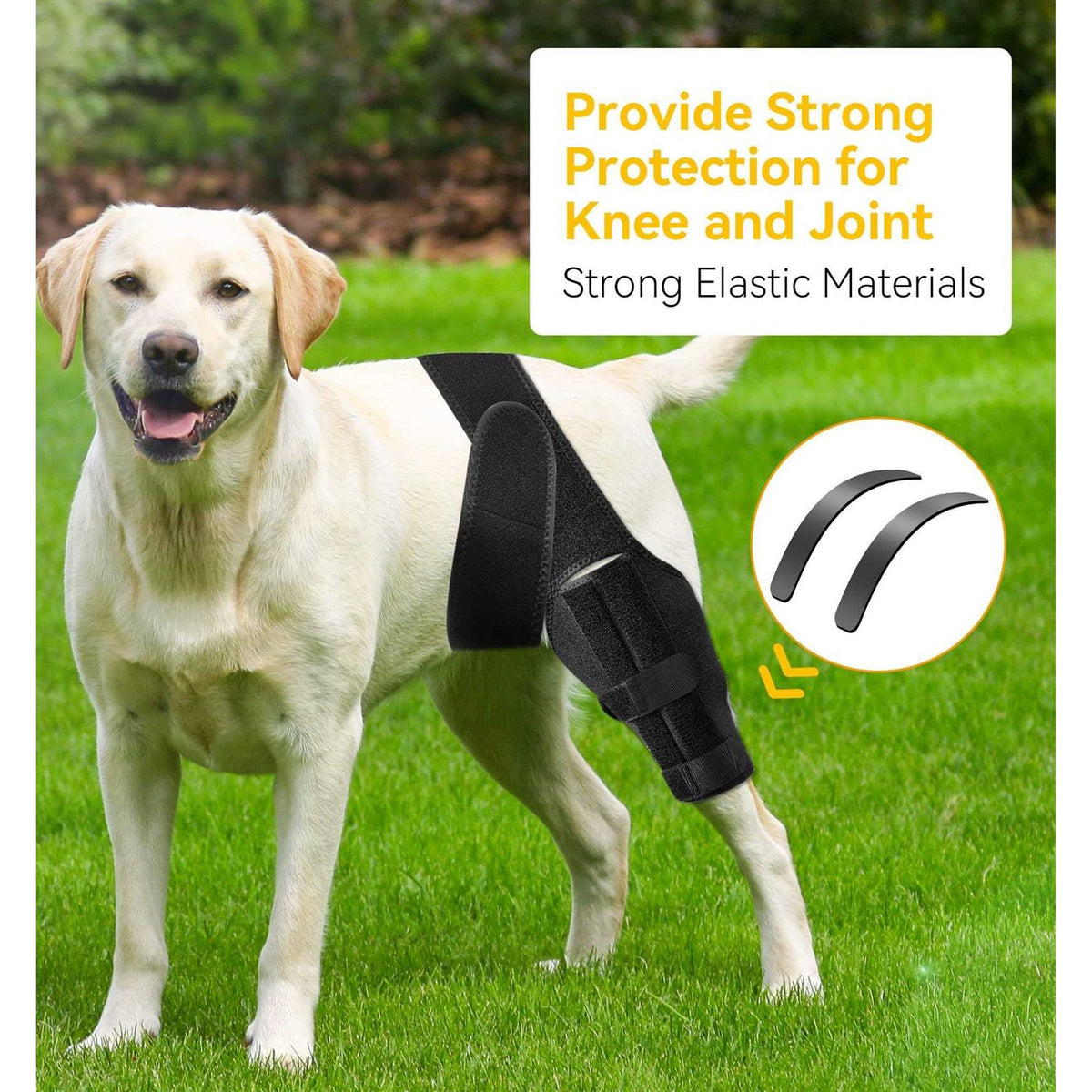 Dog Knee Brace for ACL Cruciate Ligament Injury M4196
