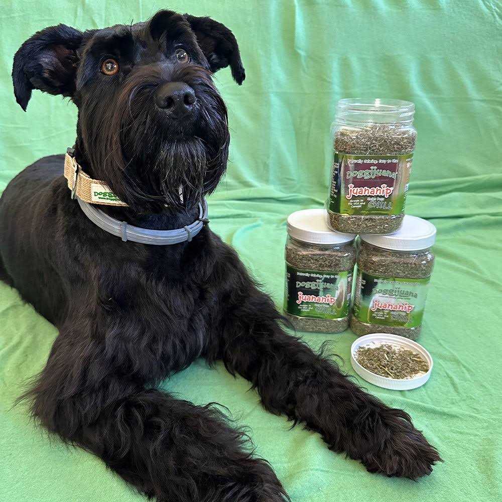 3.67-oz jar Pet Supplies P1687