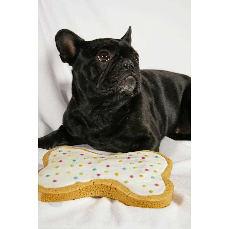 Dog Birthday Kit with Sprinkles Z317