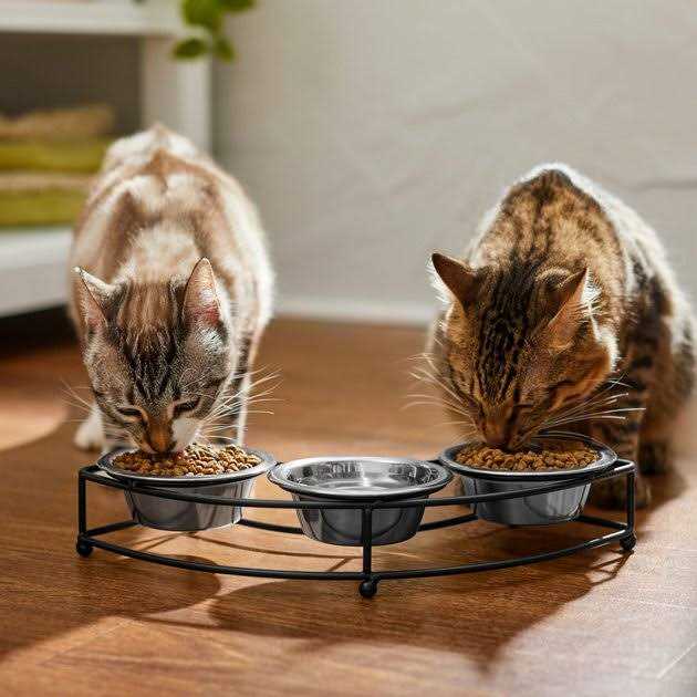 Stainless Steel Dog & Cat Bowl E1498