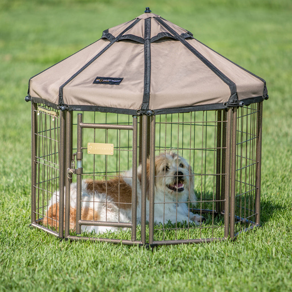 Pet Gazebo Taupe W93525