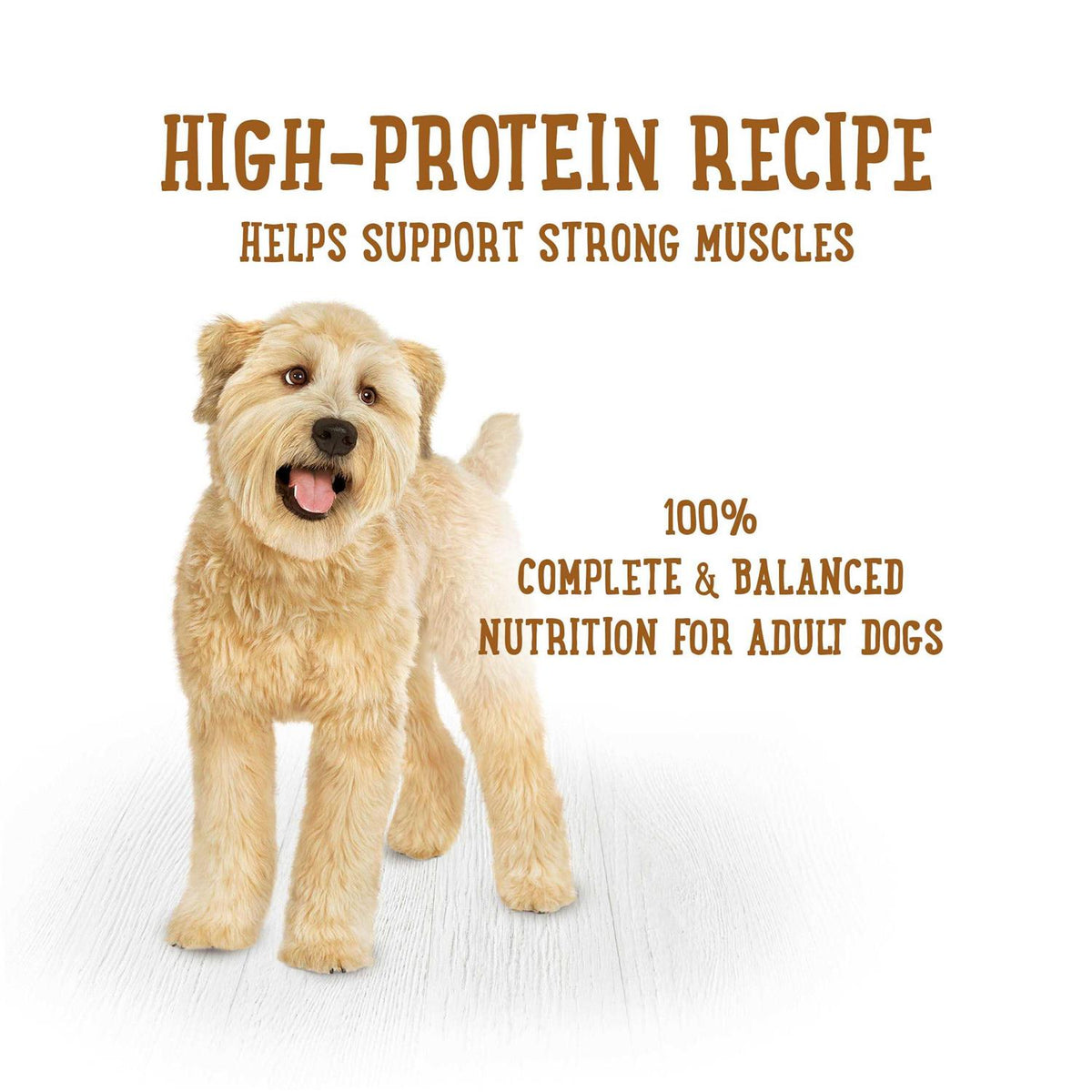Beef Stew Dog Food K43671
