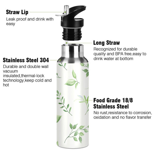 20 OZ Vacuum Insulated Stainless Steel Water Bottle with Straw Lid O560