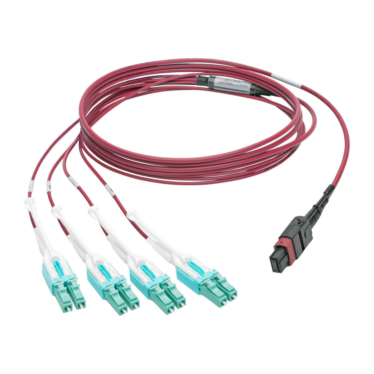OM4 Fiber Optic Patch Cable 10 ft Magenta X731241