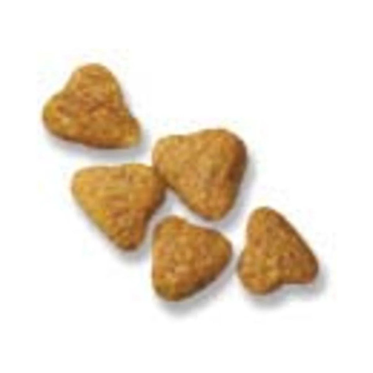 High Protein Small Bites Lamb and Rice Dog Food L26736