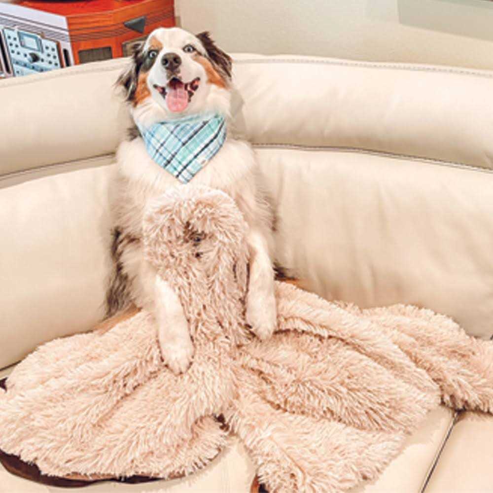 Throw Blanket N894799