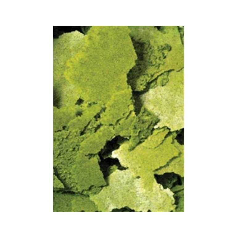 Flakes U974929