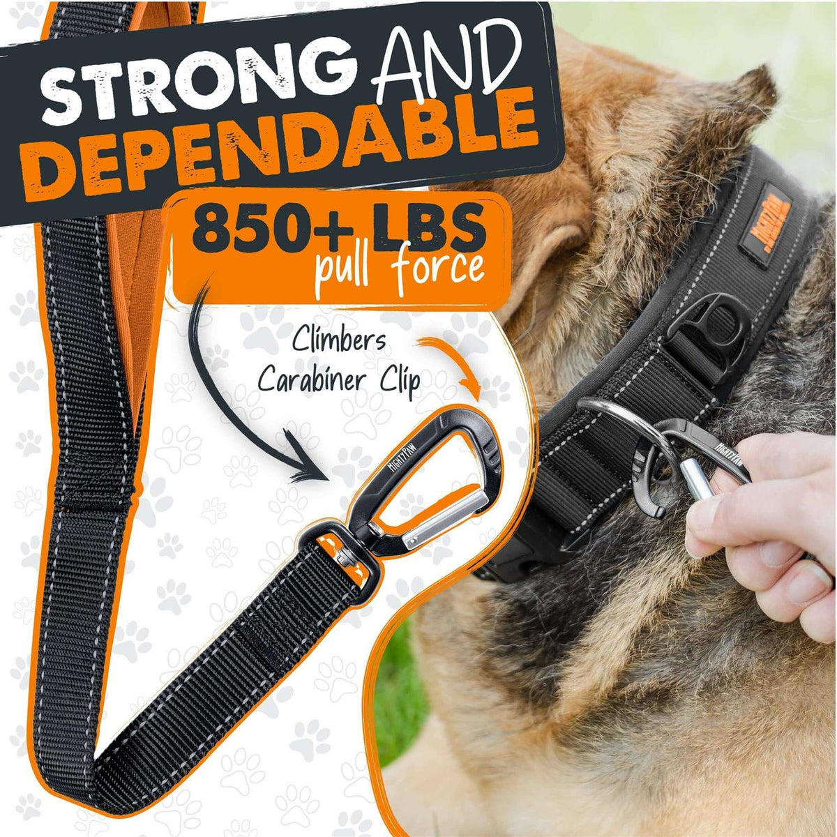Dual Handle Dog Leash H142
