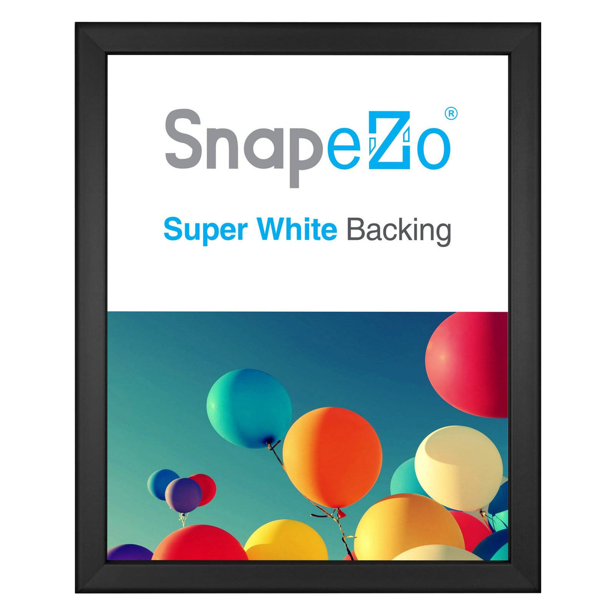 16x20 Black Snap Frame J7068