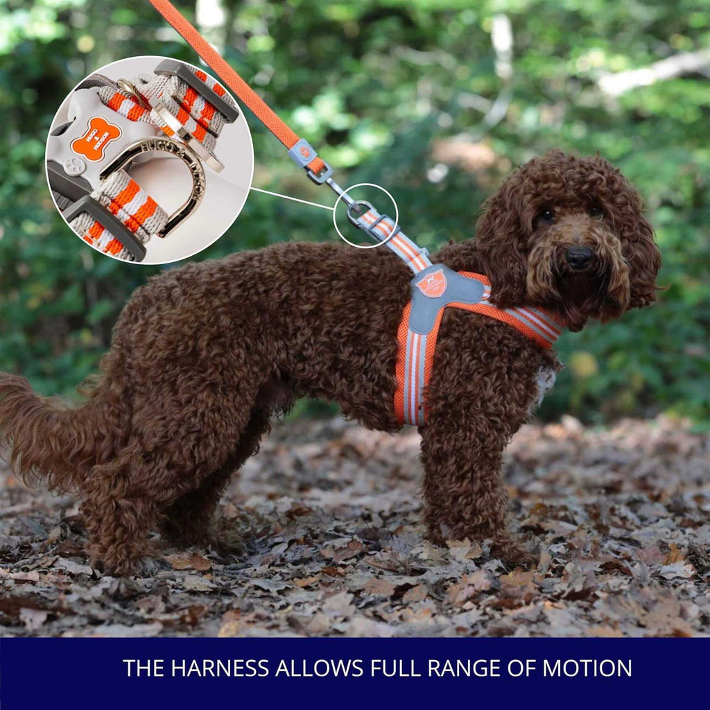 Dog Harness K520713